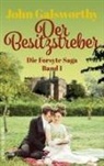 John Galsworthy - Der Besitzstreber