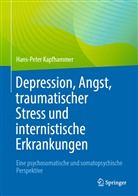 Hans-Peter Kapfhammer - Depression, Angst, traumatischer Stress und internistische Erkrankungen