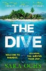 Sara Ochs - The Dive
