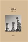Pío Cabanillas Alonso - Siria