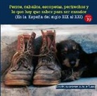 Julio Rueda, Una Sociedad de cazadores - Perros, caballos, escopetas, pertrechos y lo que hay que saber para ser cazador : (en la España del el siglo XIX al XXI)