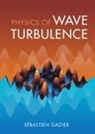 Sebastien Galtier, Sébastien Galtier, Sebastien (Universite Paris-Saclay) Galtier - Physics of Wave Turbulence