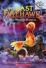 Katrina Charman, Judit Tondora - The Shadow Returns: A Branches Book (the Last Firehawk #12)