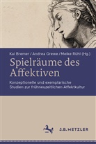 Kai Bremer, Andrea Grewe, Meike Rühl - Spielräume des Affektiven