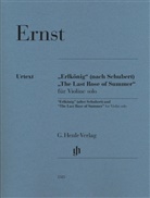 Ingolf Turban - Heinrich Wilhelm Ernst - "Erlkönig" (nach Schubert) und "The Last Rose of Summer" für Violine solo