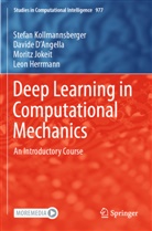 Davide D'Angella, Leon Herrmann, Jokeit, Moritz Jokeit, Stefan Kollmannsberger - Deep Learning in Computational Mechanics