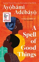 Ayobami Adebayo, Ayòbámi Adébáyò - A Spell of Good Things