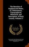 John Evans, Thomas Hood, Francis Charles Laird - The Beauties of England and Wales, Or, Delineations, Topographical, Historical, and Descriptive, of Each County, Volume 17