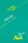 der Querleser - Schande von J.M. Coetzee (Lektürehilfe)
