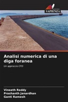 Prashanth Janardhan, Ganti Ramesh, Vineeth Reddy - Analisi numerica di una diga foranea