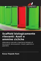 Kesur Rajade Ram - Scaffold biologicamente rilevanti: Azoli e ammine cicliche