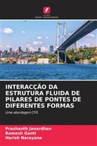 Ramesh Ganti, Prashanth Janardhan, Harish Narayana - INTERACÇÃO DA ESTRUTURA FLUIDA DE PILARES DE PONTES DE DIFERENTES FORMAS