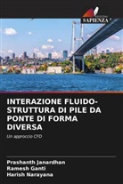 Ramesh Ganti, Prashanth Janardhan, Harish Narayana - INTERAZIONE FLUIDO-STRUTTURA DI PILE DA PONTE DI FORMA DIVERSA