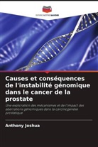 Anthony Joshua - Causes et conséquences de l'instabilité génomique dans le cancer de la prostate