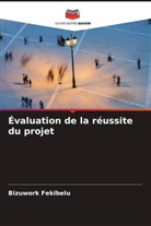 Bizuwork Fekibelu - Évaluation de la réussite du projet