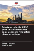 Suresh Chovatiya, Ritvij Trivedi - Réacteur hybride UASB pour le traitement des eaux usées de l'industrie pharmaceutique