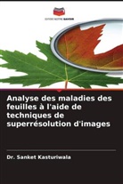 Dr. Sanket Kasturiwala, Sanket Kasturiwala - Analyse des maladies des feuilles à l'aide de techniques de superrésolution d'images