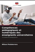 Wilson Peñaherrera - Compétences pédagogiques et numériques des enseignants universitaires
