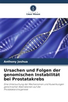 Anthony Joshua - Ursachen und Folgen der genomischen Instabilität bei Prostatakrebs