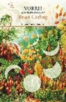 Brian Catling - Vorrh : el bosque infinito
