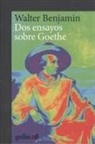 Walter Benjamin - Dos ensayos sobre Goethe