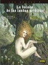 Jean Dufaux, Dufaux - Tillier, Tillier - La balada de las landas perdidas, Nuevo ciclo 1 : cabeza negra