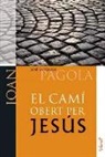 José Antonio Pagola - El camí obert per Jesús. Joan