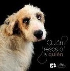 Asociación Nacional Amigos de los Animales. Fundación - ¿Quién rescató a quién?