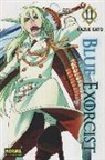 Kazue Kato - Blue exorcist 11