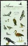 Luis Mario Arce Velasco, Víctor M. Vázquez, Victor Manuel Vazquez Fernandez - Aves de la España atlántica