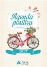 Agenda Positiva 2017 (Castellano)
