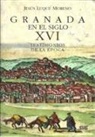 Jesús Luque Moreno - Granada en el siglo XVI : testimonios de la época
