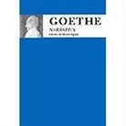 Johann Wolfgang von Goethe - Narrativa