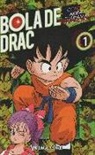 Akira Toriyama - Bola de Drac color origen i cinta vermella 1