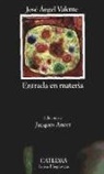 José Angel Valente, José Ángel Valente - Entrada en materia