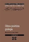Luis Amado Carballo - Obra poética galega
