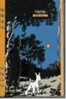 AGENDA TINTIN-2010