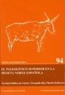 Germán Delibes de Castro, Fernando Díez Martín - El Paleolítico Superior en la Meseta Norte española
