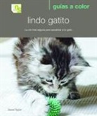 David Taylor, David C. Taylor - Lindo gatito : la vía más segura para socializar a tu gato