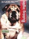 Bulldog inglés