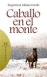 CABALLLO EN EL MONTE