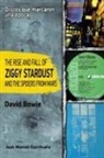 Joan Manuel Escrihuela Ruiz - The rise ansd fall of Ziggy Stardust and the spiders from mars, de David Bowie