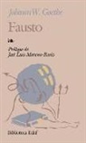 Johann Wolfgang von Goethe - Fausto