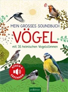 Eva Wagner - Mein großes Soundbuch Vögel
