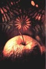 Michael White - Equinox