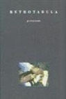 Perejaume - Retrotabula