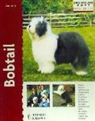 Ann Arch - Bobtail