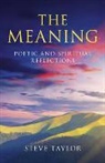 Steve Taylor - The Meaning