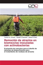 Claudia S. Benimeli, Teresa A. L. Ocante, Teresa A.L. Ocante, Juliana M. Saez - Remoción de atrazina en biomezclas inoculadas con actinobacterias