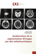 Mustapha Ameur, Maryam Habba, Younes Jabrane - Ame lioration de la segmentation d'images par des me taheuristiques